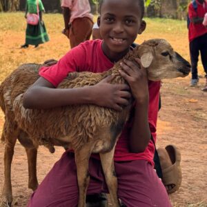 Livestock prepared for distribution